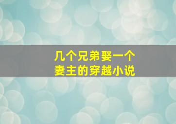 几个兄弟娶一个妻主的穿越小说