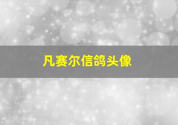 凡赛尔信鸽头像