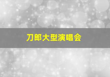 刀郎大型演唱会