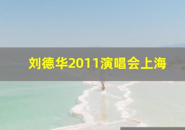 刘德华2011演唱会上海