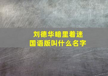 刘德华暗里着迷国语版叫什么名字