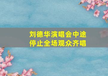 刘德华演唱会中途停止全场观众齐唱