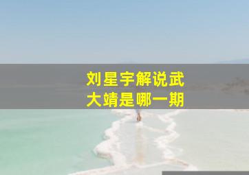 刘星宇解说武大靖是哪一期