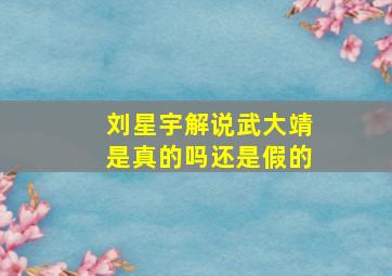 刘星宇解说武大靖是真的吗还是假的