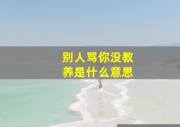 别人骂你没教养是什么意思