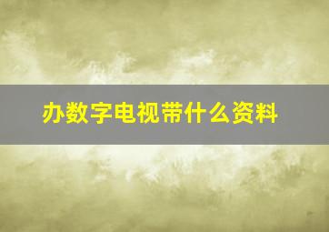 办数字电视带什么资料