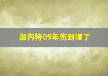 加内特09年伤到哪了