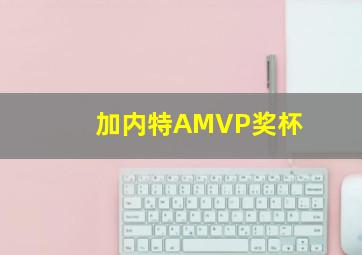 加内特AMVP奖杯