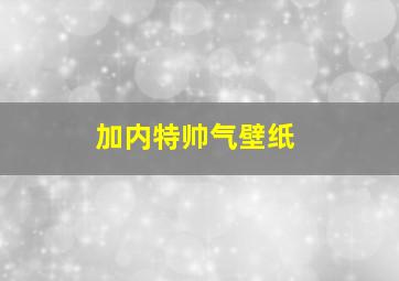 加内特帅气壁纸