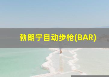 勃朗宁自动步枪(BAR)