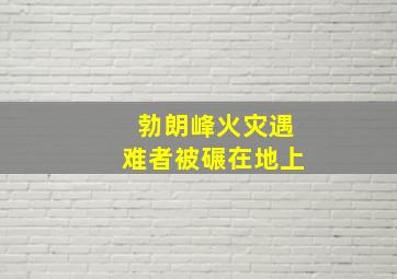 勃朗峰火灾遇难者被碾在地上