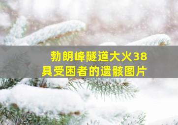 勃朗峰隧道大火38具受困者的遗骸图片