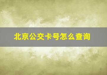 北京公交卡号怎么查询