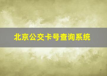 北京公交卡号查询系统