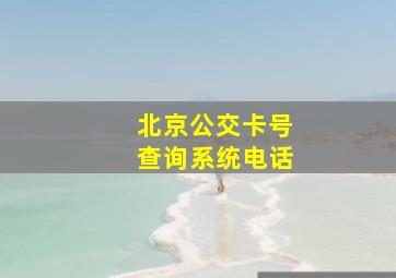 北京公交卡号查询系统电话