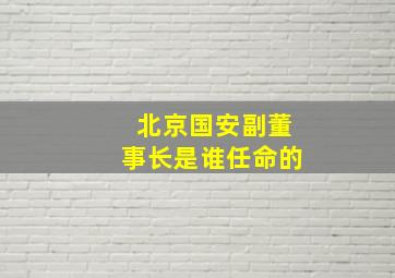 北京国安副董事长是谁任命的