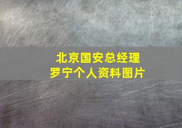 北京国安总经理罗宁个人资料图片