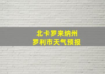 北卡罗来纳州罗利市天气预报