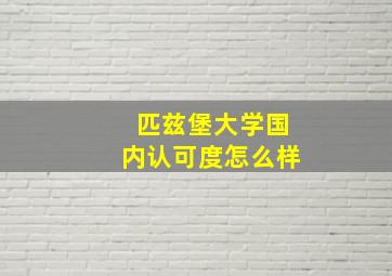 匹兹堡大学国内认可度怎么样