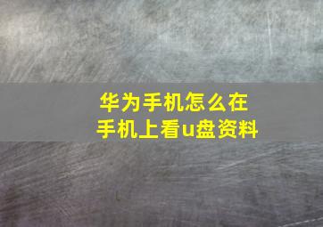 华为手机怎么在手机上看u盘资料