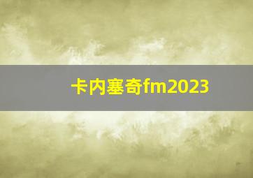 卡内塞奇fm2023