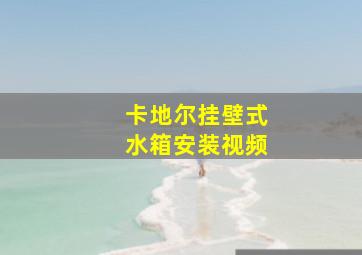 卡地尔挂壁式水箱安装视频