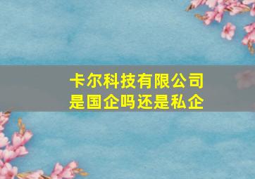 卡尔科技有限公司是国企吗还是私企