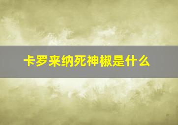 卡罗来纳死神椒是什么