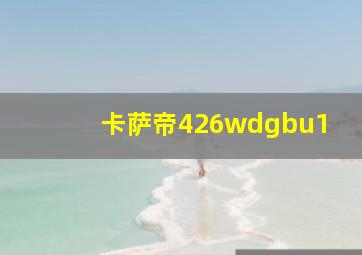 卡萨帝426wdgbu1