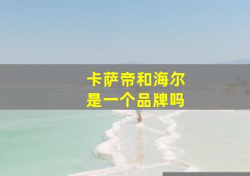 卡萨帝和海尔是一个品牌吗