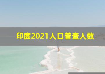 印度2021人口普查人数