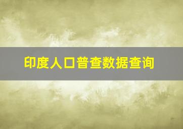 印度人口普查数据查询