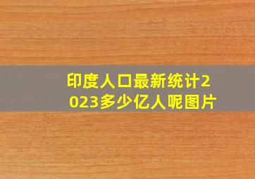 印度人口最新统计2023多少亿人呢图片