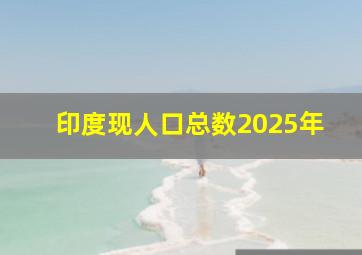 印度现人口总数2025年