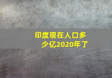 印度现在人口多少亿2020年了