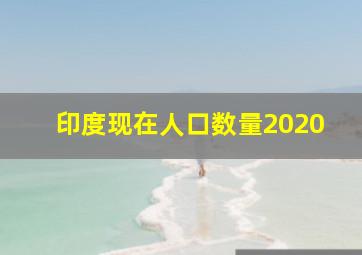 印度现在人口数量2020