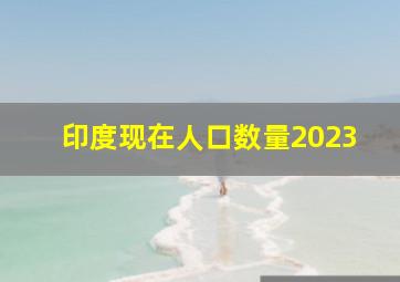 印度现在人口数量2023