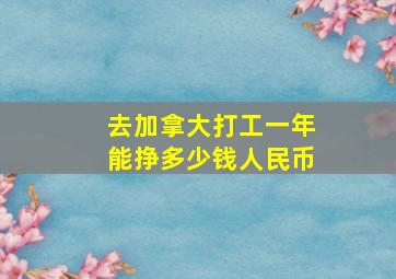 去加拿大打工一年能挣多少钱人民币