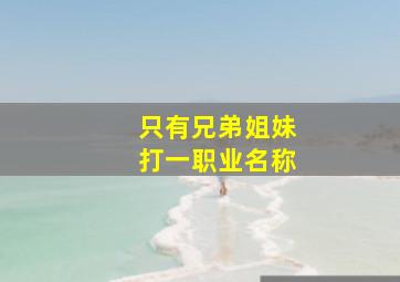 只有兄弟姐妹打一职业名称