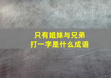 只有姐妹与兄弟打一字是什么成语