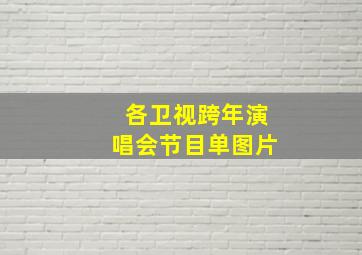 各卫视跨年演唱会节目单图片