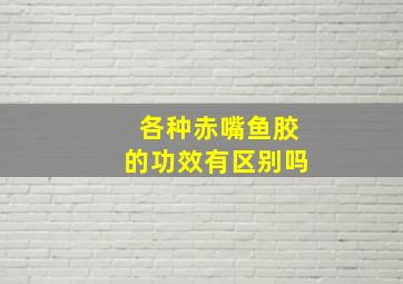 各种赤嘴鱼胶的功效有区别吗