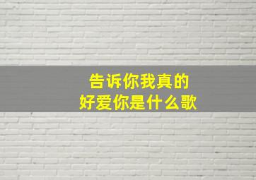 告诉你我真的好爱你是什么歌