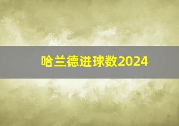 哈兰德进球数2024