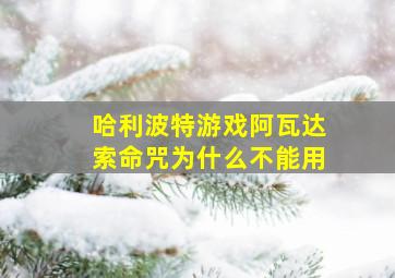 哈利波特游戏阿瓦达索命咒为什么不能用