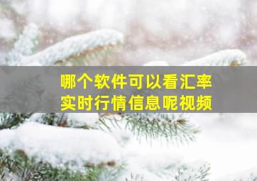 哪个软件可以看汇率实时行情信息呢视频