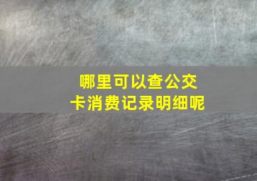 哪里可以查公交卡消费记录明细呢