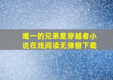 唯一的兄弟是穿越者小说在线阅读无弹窗下载