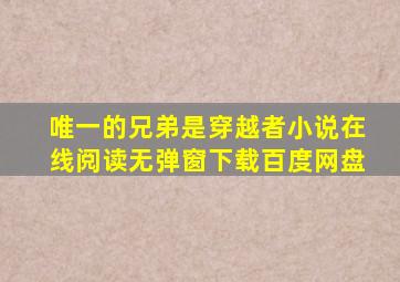 唯一的兄弟是穿越者小说在线阅读无弹窗下载百度网盘