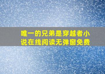 唯一的兄弟是穿越者小说在线阅读无弹窗免费